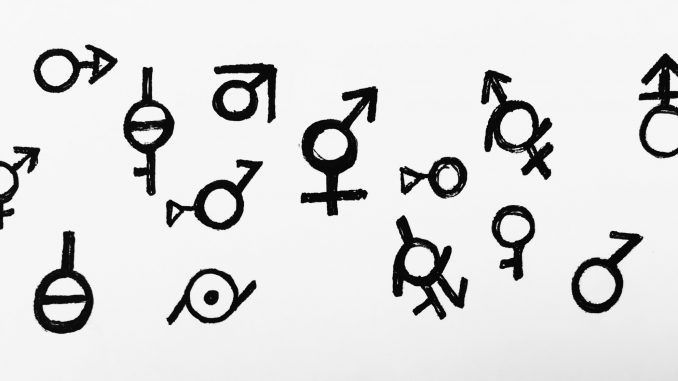 What Is A Gender Binary System
