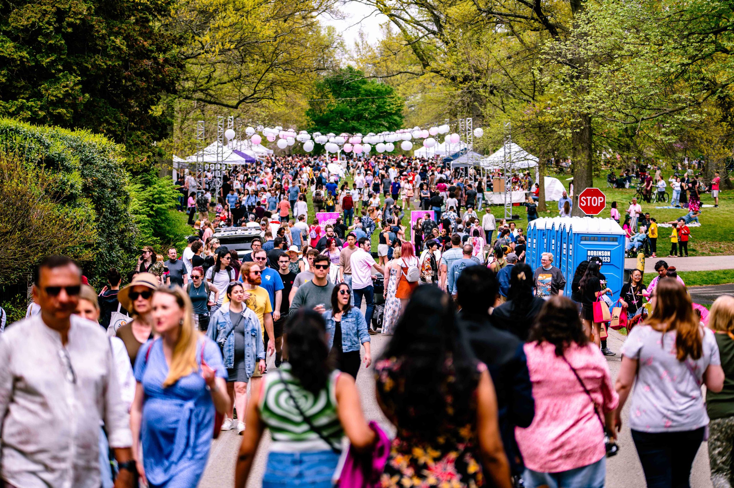 The Philadelphia Cherry Blossom Festival | The Temple News