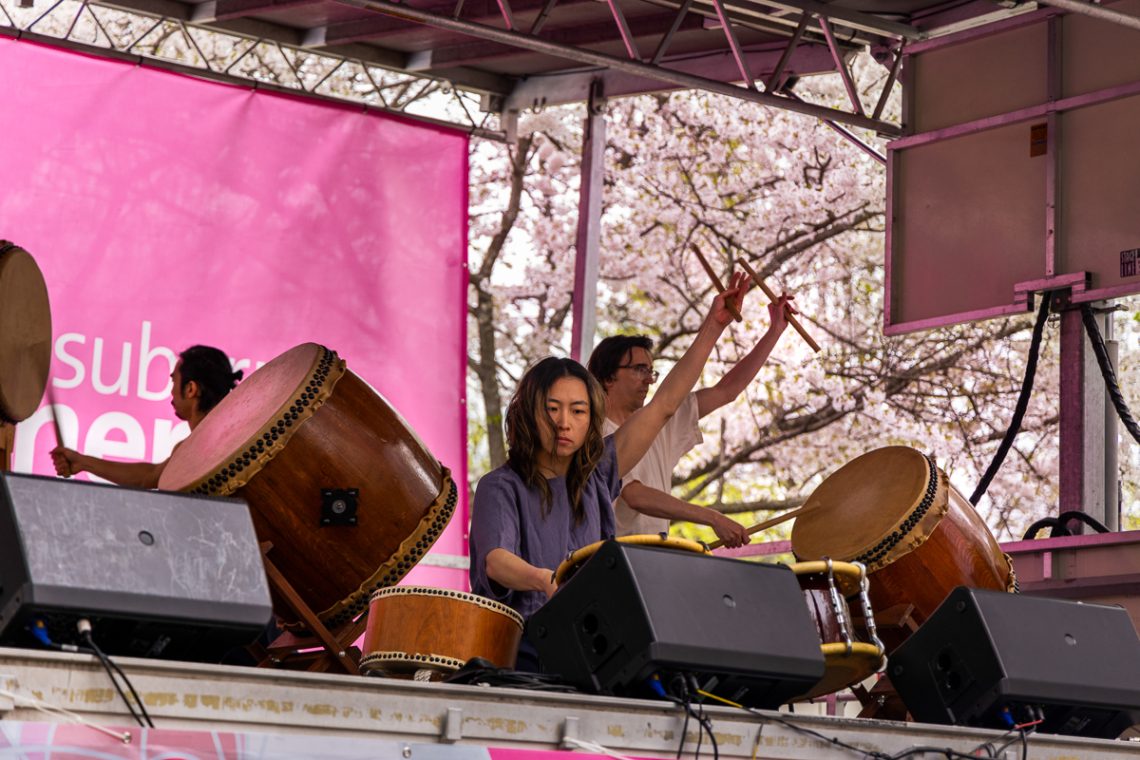 Philly flowers in pink and white at annual Cherry Blossom Festival ...